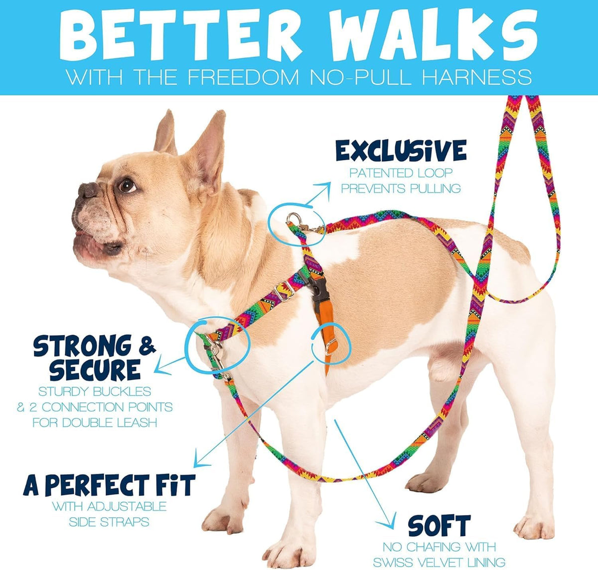Freedom No Pull Dog Harness, 1 inch MD, Teal | Discourages Pulling, Comfortable Control Adjustable Dog Harness for Medium Sized Dogs, Made in USA (Leash Not Included)