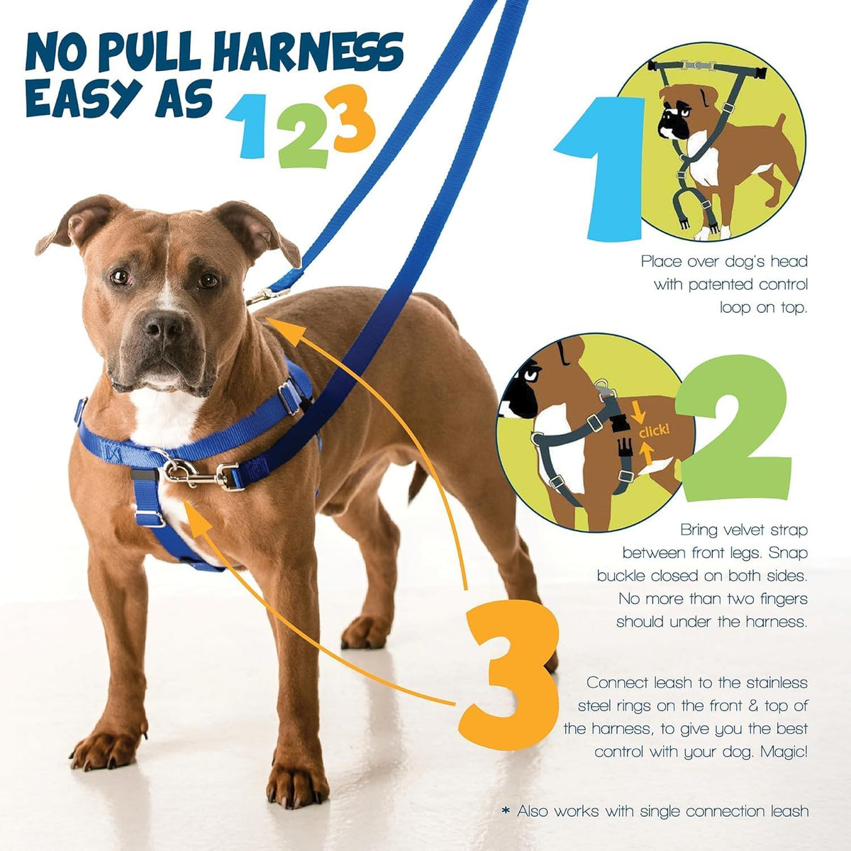 Freedom No Pull Dog Harness, 1 inch MD, Teal | Discourages Pulling, Comfortable Control Adjustable Dog Harness for Medium Sized Dogs, Made in USA (Leash Not Included)