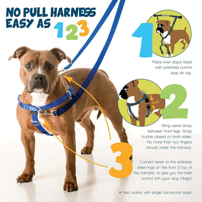 Freedom No Pull Dog Harness, 1 inch MD, Teal | Discourages Pulling, Comfortable Control Adjustable Dog Harness for Medium Sized Dogs, Made in USA (Leash Not Included)