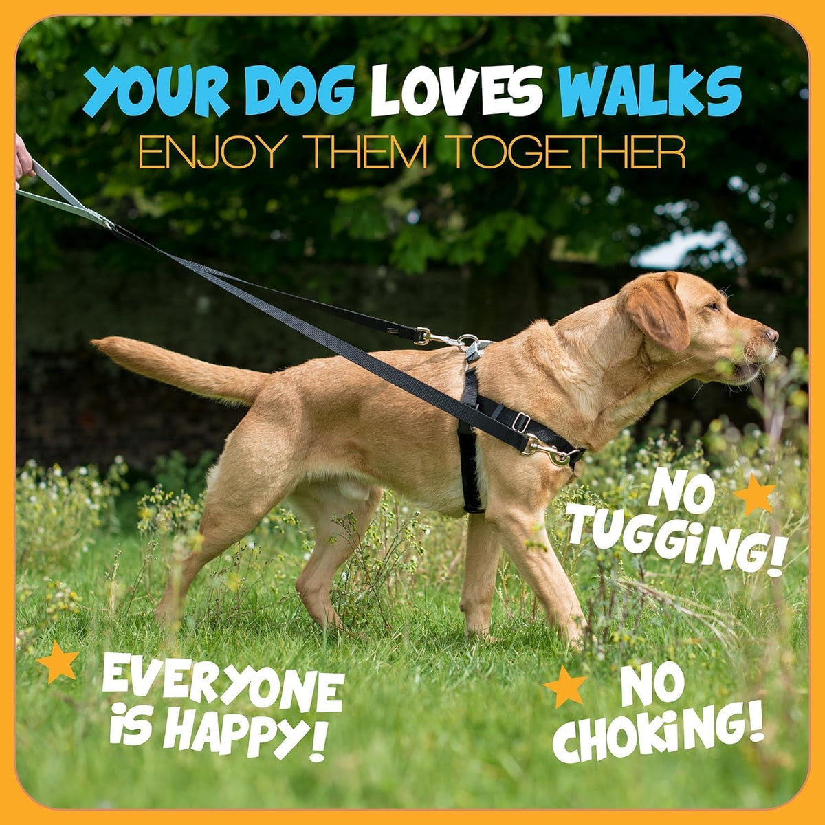 Freedom No Pull Dog Harness, 1 inch MD, Teal | Discourages Pulling, Comfortable Control Adjustable Dog Harness for Medium Sized Dogs, Made in USA (Leash Not Included)