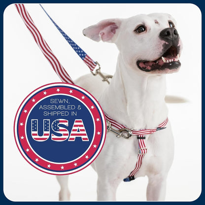 Freedom No Pull Dog Harness, 1 inch MD, Teal | Discourages Pulling, Comfortable Control Adjustable Dog Harness for Medium Sized Dogs, Made in USA (Leash Not Included)