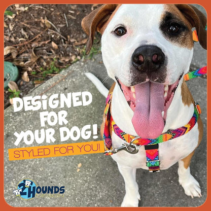 Freedom No Pull Dog Harness, 1 inch MD, Teal | Discourages Pulling, Comfortable Control Adjustable Dog Harness for Medium Sized Dogs, Made in USA (Leash Not Included)