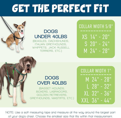 Freedom No Pull Dog Harness, 1 inch MD, Teal | Discourages Pulling, Comfortable Control Adjustable Dog Harness for Medium Sized Dogs, Made in USA (Leash Not Included)