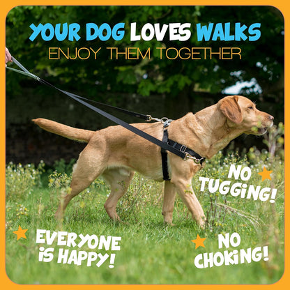 Freedom No Pull Dog Harness, 1 inch MD, Teal | Discourages Pulling, Comfortable Control Adjustable Dog Harness for Medium Sized Dogs, Made in USA (Leash Not Included)