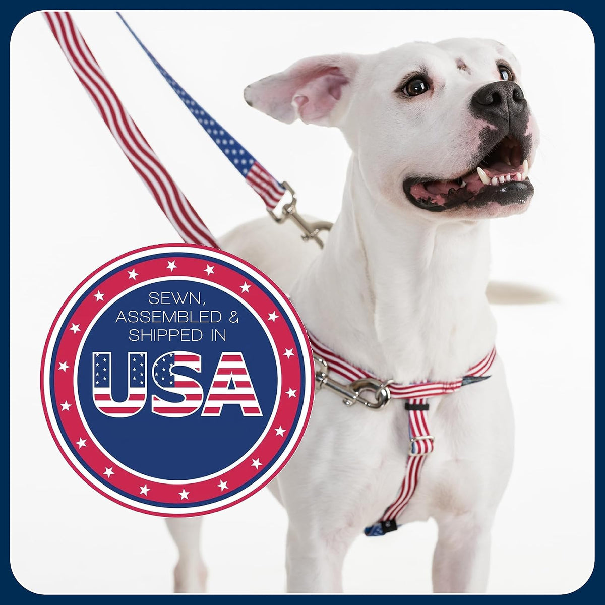 Freedom No Pull Dog Harness, 1 inch MD, Teal | Discourages Pulling, Comfortable Control Adjustable Dog Harness for Medium Sized Dogs, Made in USA (Leash Not Included)