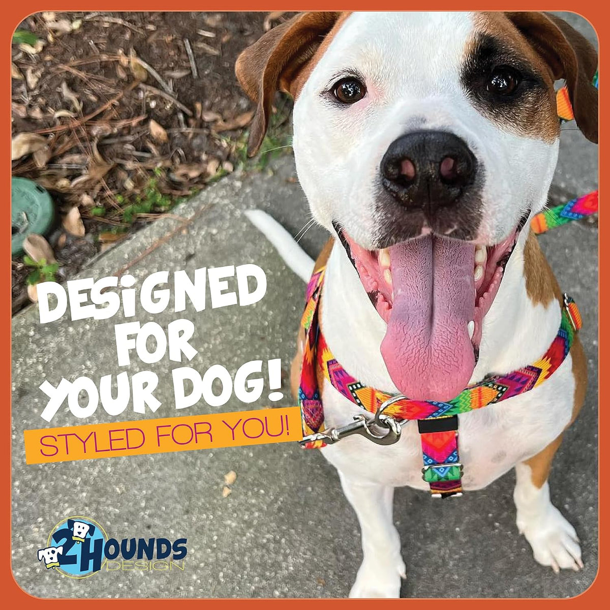 Freedom No Pull Dog Harness, 1 inch MD, Teal | Discourages Pulling, Comfortable Control Adjustable Dog Harness for Medium Sized Dogs, Made in USA (Leash Not Included)