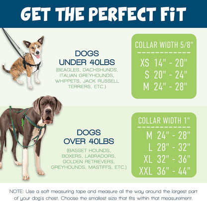 Freedom No Pull Dog Harness, 1 inch MD, Teal | Discourages Pulling, Comfortable Control Adjustable Dog Harness for Medium Sized Dogs, Made in USA (Leash Not Included)