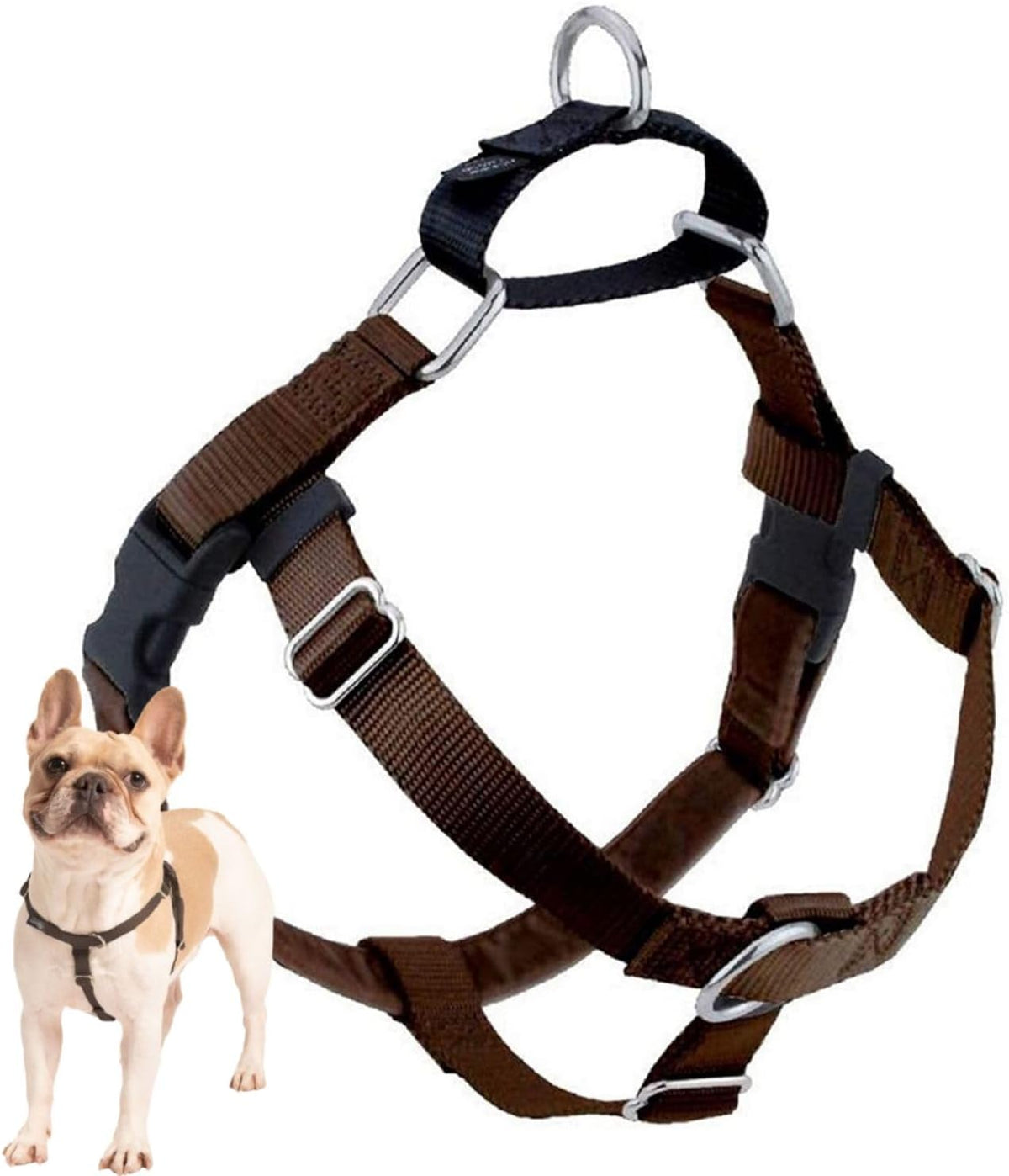 Freedom No Pull Dog Harness, 1 inch MD, Teal | Discourages Pulling, Comfortable Control Adjustable Dog Harness for Medium Sized Dogs, Made in USA (Leash Not Included)