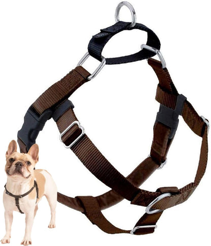 Freedom No Pull Dog Harness, 1 inch MD, Teal | Discourages Pulling, Comfortable Control Adjustable Dog Harness for Medium Sized Dogs, Made in USA (Leash Not Included)