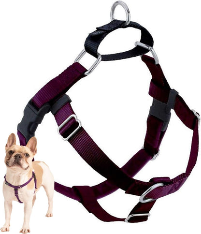 Freedom No Pull Dog Harness, 1 inch MD, Teal | Discourages Pulling, Comfortable Control Adjustable Dog Harness for Medium Sized Dogs, Made in USA (Leash Not Included)