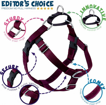 Freedom No Pull Dog Harness, 1 inch MD, Teal | Discourages Pulling, Comfortable Control Adjustable Dog Harness for Medium Sized Dogs, Made in USA (Leash Not Included)