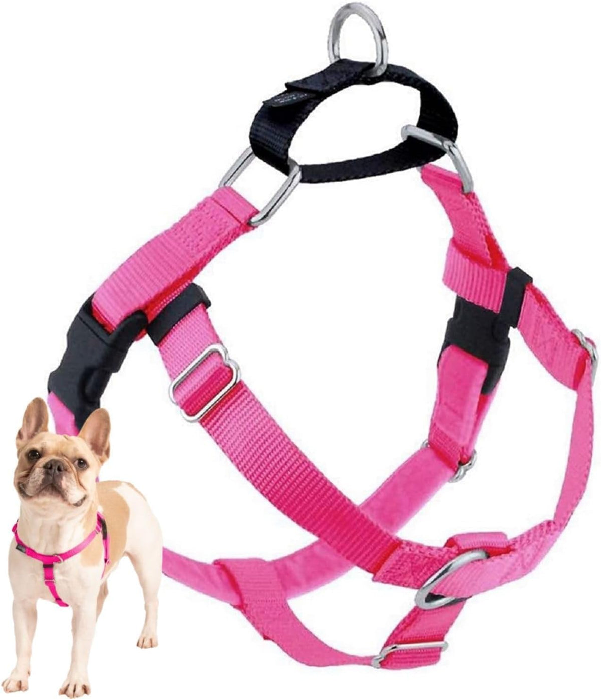 Freedom No Pull Dog Harness, 1 inch MD, Teal | Discourages Pulling, Comfortable Control Adjustable Dog Harness for Medium Sized Dogs, Made in USA (Leash Not Included)