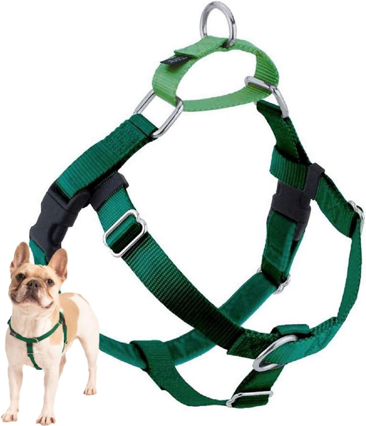 Freedom No Pull Dog Harness, 1 inch MD, Teal | Discourages Pulling, Comfortable Control Adjustable Dog Harness for Medium Sized Dogs, Made in USA (Leash Not Included)