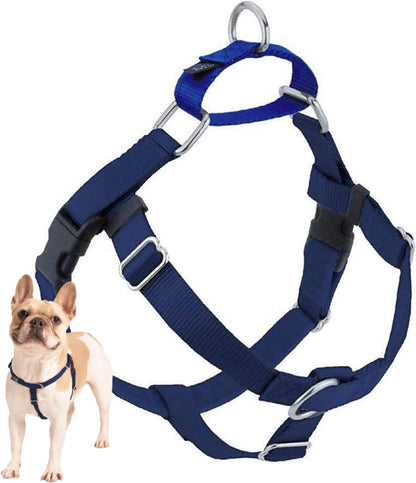 Freedom No Pull Dog Harness, 1 inch MD, Teal | Discourages Pulling, Comfortable Control Adjustable Dog Harness for Medium Sized Dogs, Made in USA (Leash Not Included)