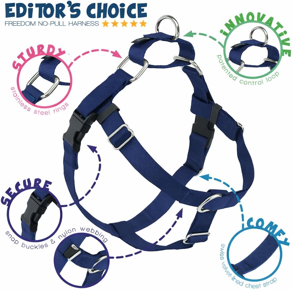 Freedom No Pull Dog Harness, 1 inch MD, Teal | Discourages Pulling, Comfortable Control Adjustable Dog Harness for Medium Sized Dogs, Made in USA (Leash Not Included)