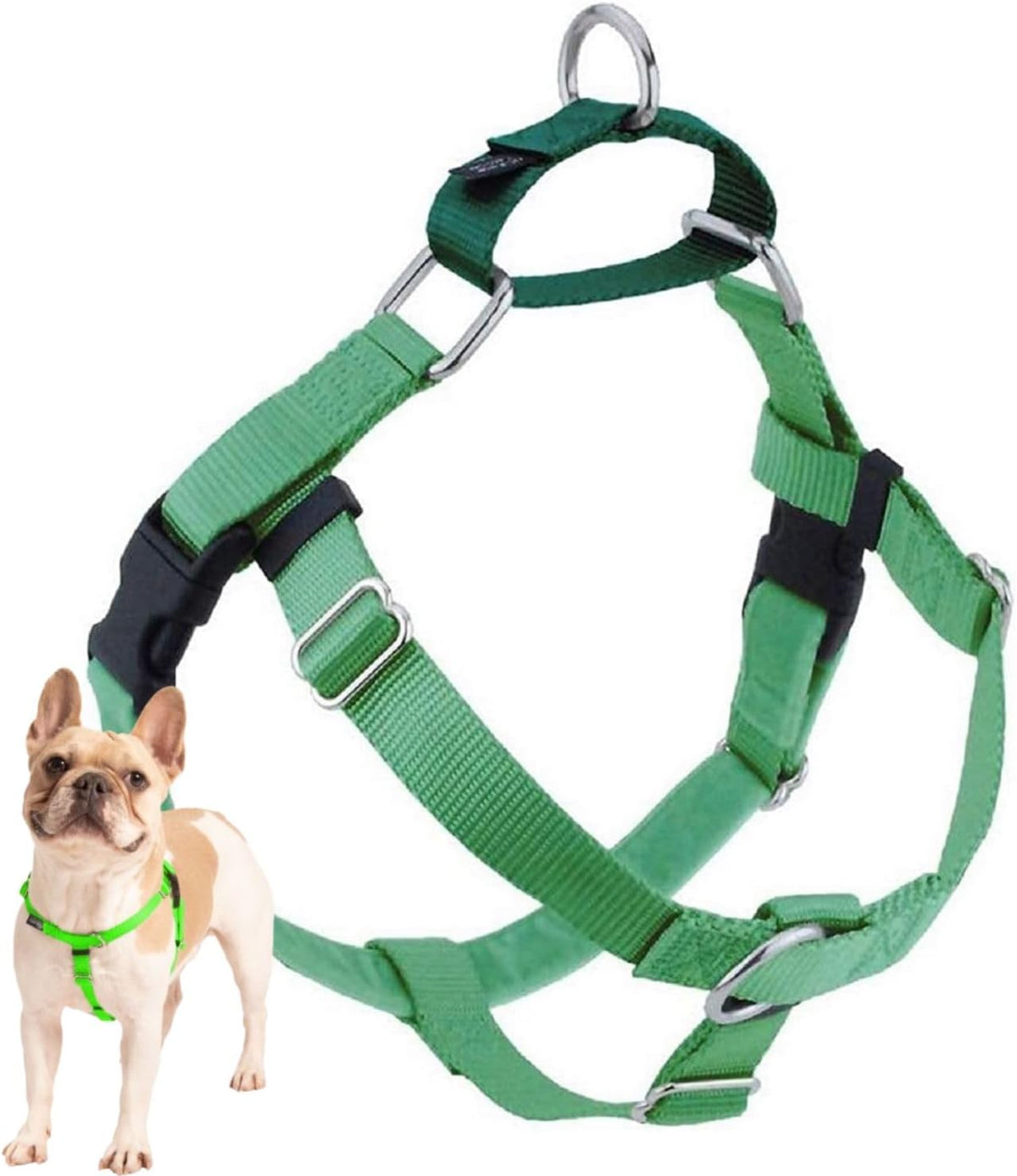 Freedom No Pull Dog Harness, 1 inch MD, Teal | Discourages Pulling, Comfortable Control Adjustable Dog Harness for Medium Sized Dogs, Made in USA (Leash Not Included)