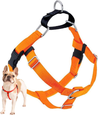 Freedom No Pull Dog Harness, 1 inch MD, Teal | Discourages Pulling, Comfortable Control Adjustable Dog Harness for Medium Sized Dogs, Made in USA (Leash Not Included)