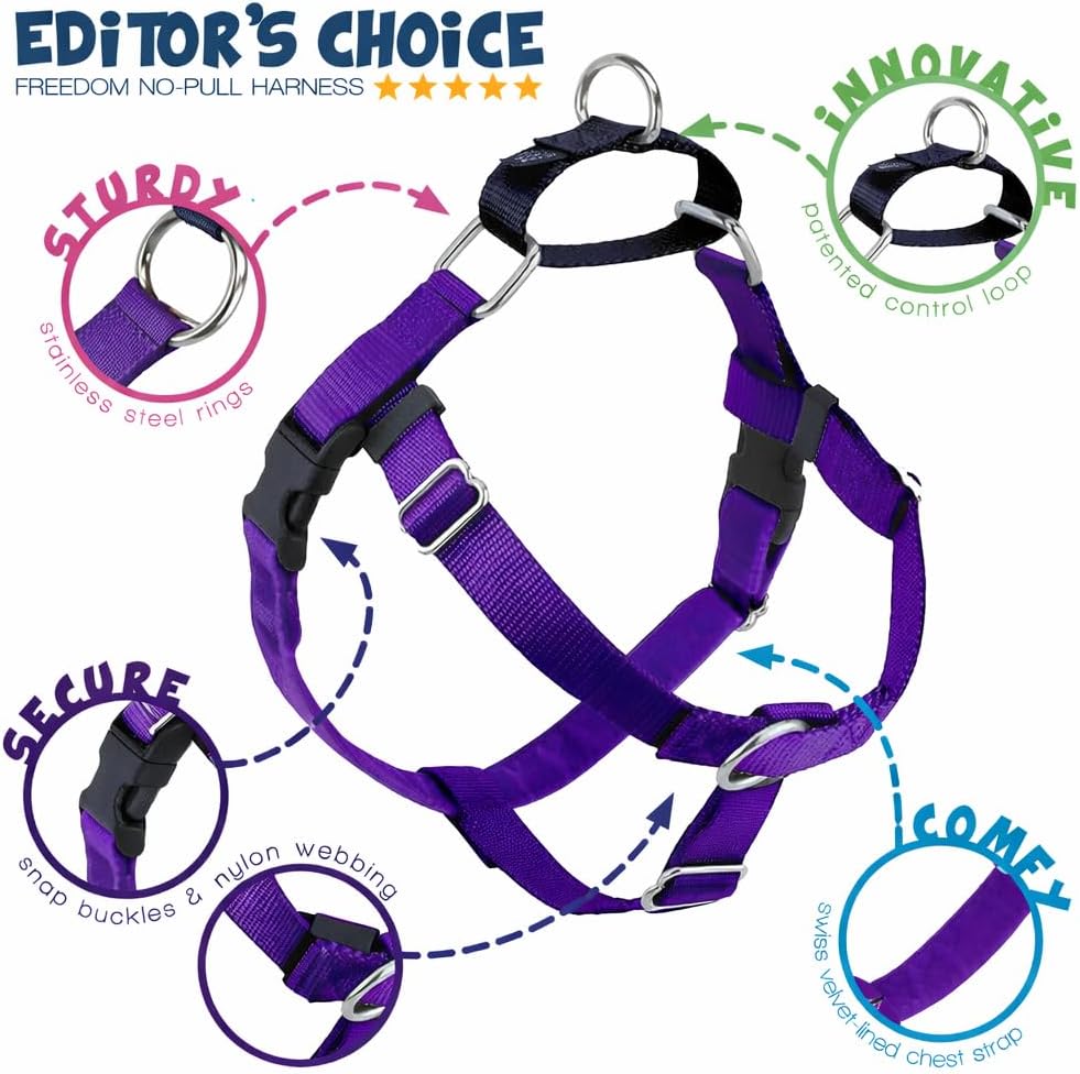 Freedom No Pull Dog Harness, 1 inch MD, Teal | Discourages Pulling, Comfortable Control Adjustable Dog Harness for Medium Sized Dogs, Made in USA (Leash Not Included)