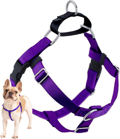 Freedom No Pull Dog Harness, 1 inch MD, Teal | Discourages Pulling, Comfortable Control Adjustable Dog Harness for Medium Sized Dogs, Made in USA (Leash Not Included)