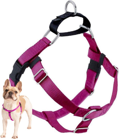 Freedom No Pull Dog Harness, 1 inch MD, Teal | Discourages Pulling, Comfortable Control Adjustable Dog Harness for Medium Sized Dogs, Made in USA (Leash Not Included)