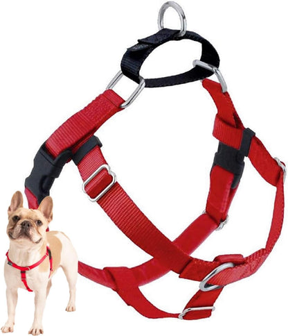Freedom No Pull Dog Harness, 1 inch MD, Teal | Discourages Pulling, Comfortable Control Adjustable Dog Harness for Medium Sized Dogs, Made in USA (Leash Not Included)