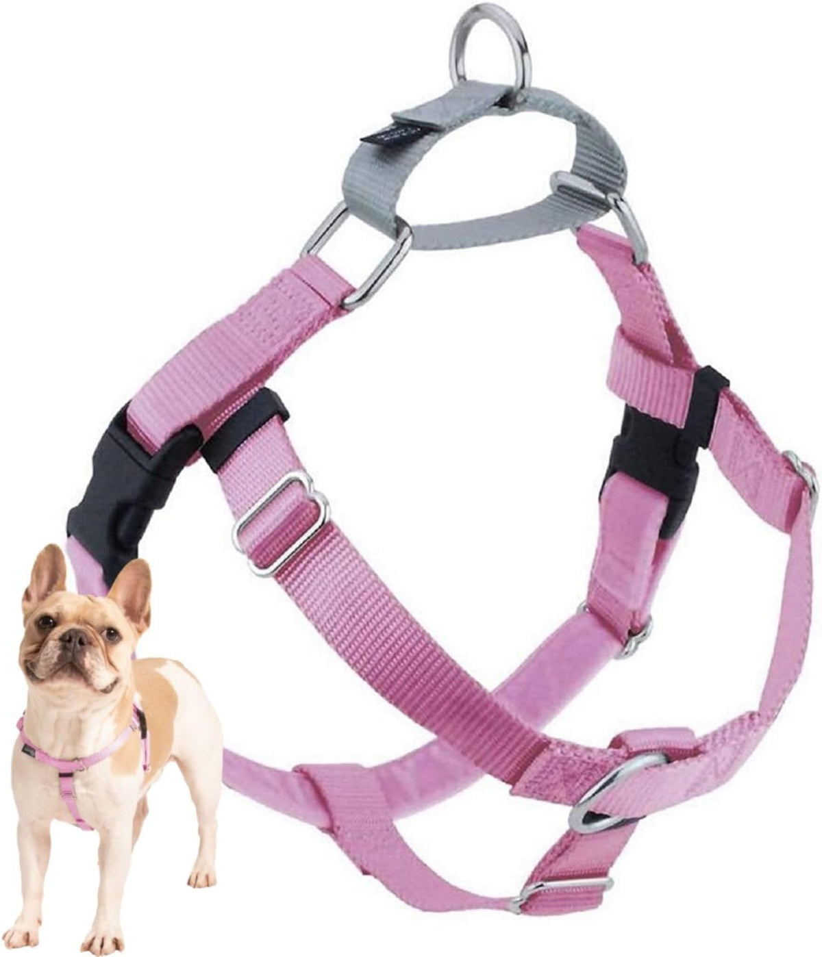 Freedom No Pull Dog Harness, 1 inch MD, Teal | Discourages Pulling, Comfortable Control Adjustable Dog Harness for Medium Sized Dogs, Made in USA (Leash Not Included)