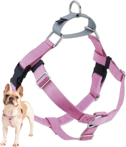 Freedom No Pull Dog Harness, 1 inch MD, Teal | Discourages Pulling, Comfortable Control Adjustable Dog Harness for Medium Sized Dogs, Made in USA (Leash Not Included)