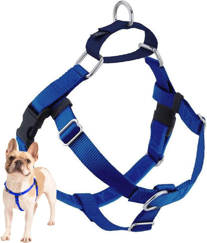 Freedom No Pull Dog Harness, 1 inch MD, Teal | Discourages Pulling, Comfortable Control Adjustable Dog Harness for Medium Sized Dogs, Made in USA (Leash Not Included)