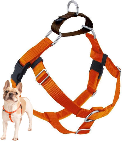 Freedom No Pull Dog Harness, 1 inch MD, Teal | Discourages Pulling, Comfortable Control Adjustable Dog Harness for Medium Sized Dogs, Made in USA (Leash Not Included)