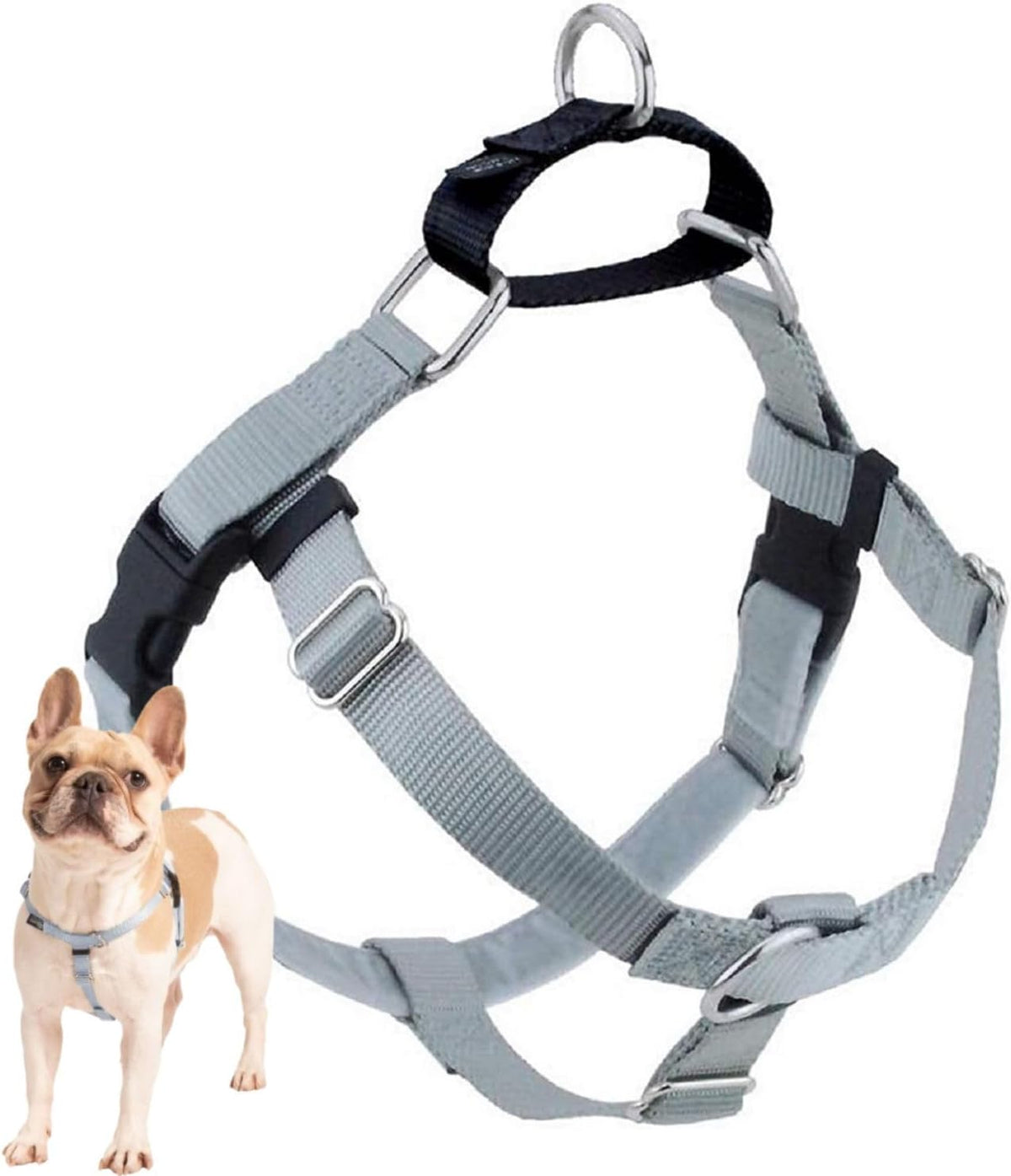 Freedom No Pull Dog Harness, 1 inch MD, Teal | Discourages Pulling, Comfortable Control Adjustable Dog Harness for Medium Sized Dogs, Made in USA (Leash Not Included)