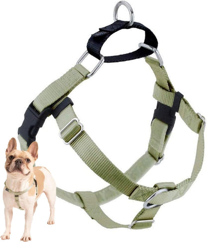 Freedom No Pull Dog Harness, 1 inch MD, Teal | Discourages Pulling, Comfortable Control Adjustable Dog Harness for Medium Sized Dogs, Made in USA (Leash Not Included)