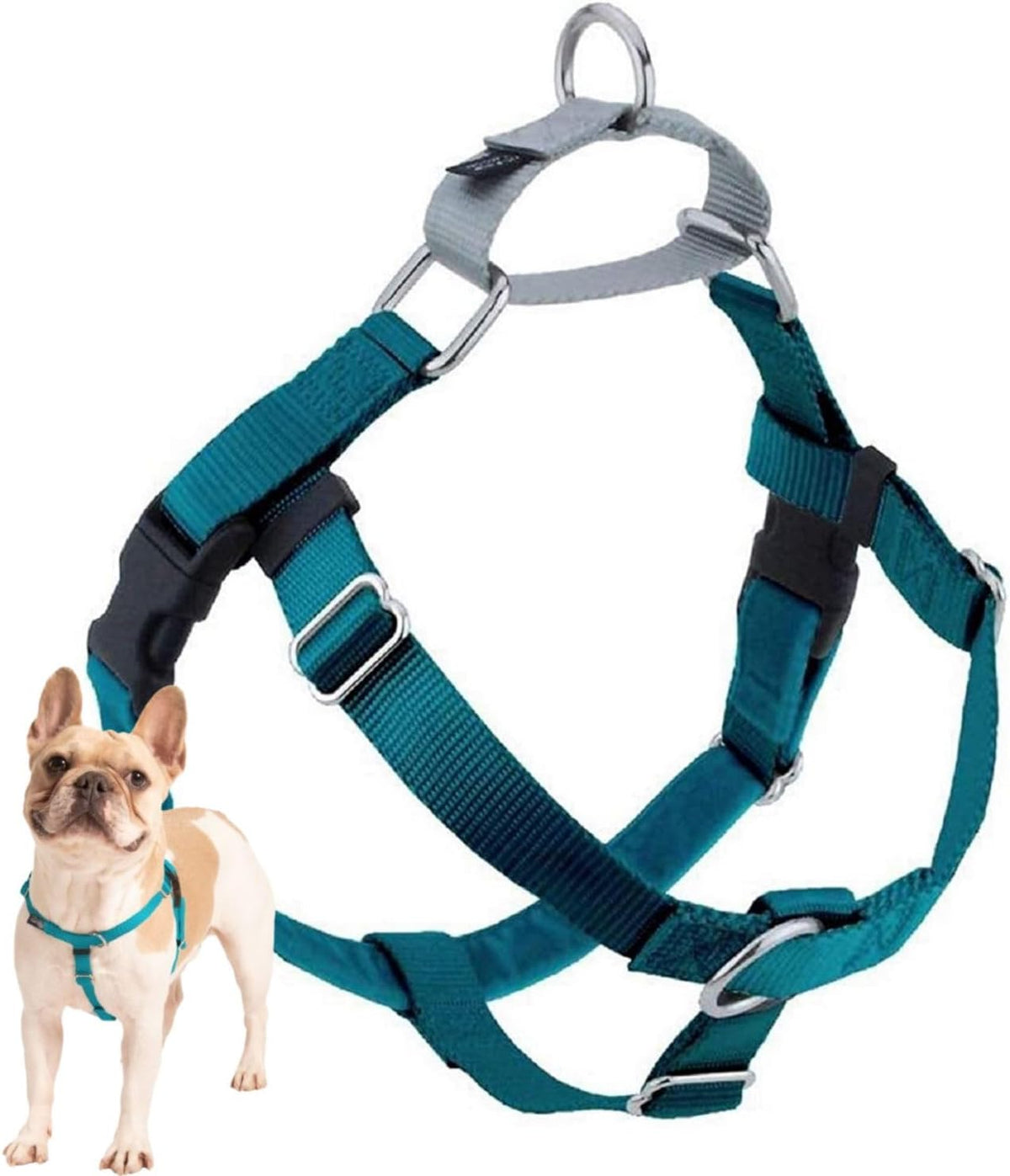 Freedom No Pull Dog Harness, 1 inch MD, Teal | Discourages Pulling, Comfortable Control Adjustable Dog Harness for Medium Sized Dogs, Made in USA (Leash Not Included)