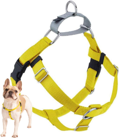 Freedom No Pull Dog Harness, 1 inch MD, Teal | Discourages Pulling, Comfortable Control Adjustable Dog Harness for Medium Sized Dogs, Made in USA (Leash Not Included)