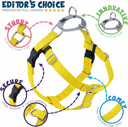 Freedom No Pull Dog Harness, 1 inch MD, Teal | Discourages Pulling, Comfortable Control Adjustable Dog Harness for Medium Sized Dogs, Made in USA (Leash Not Included)