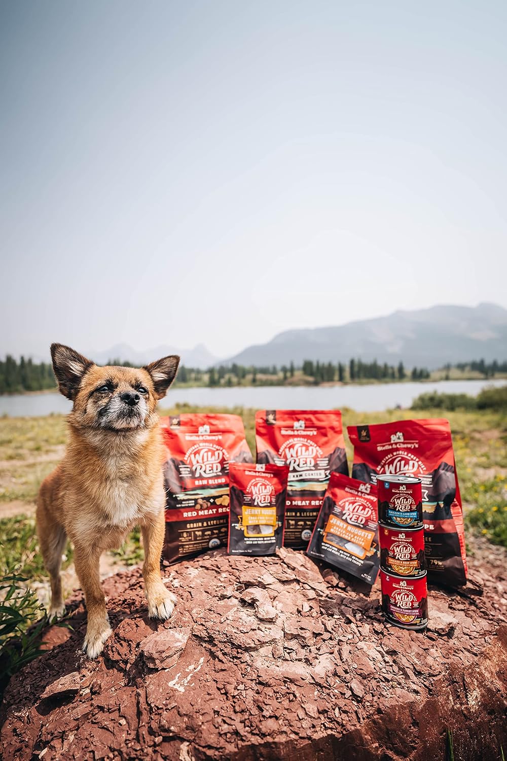 Wild Red Coated GF Prairie Dry Dog Food, 3.5 lb