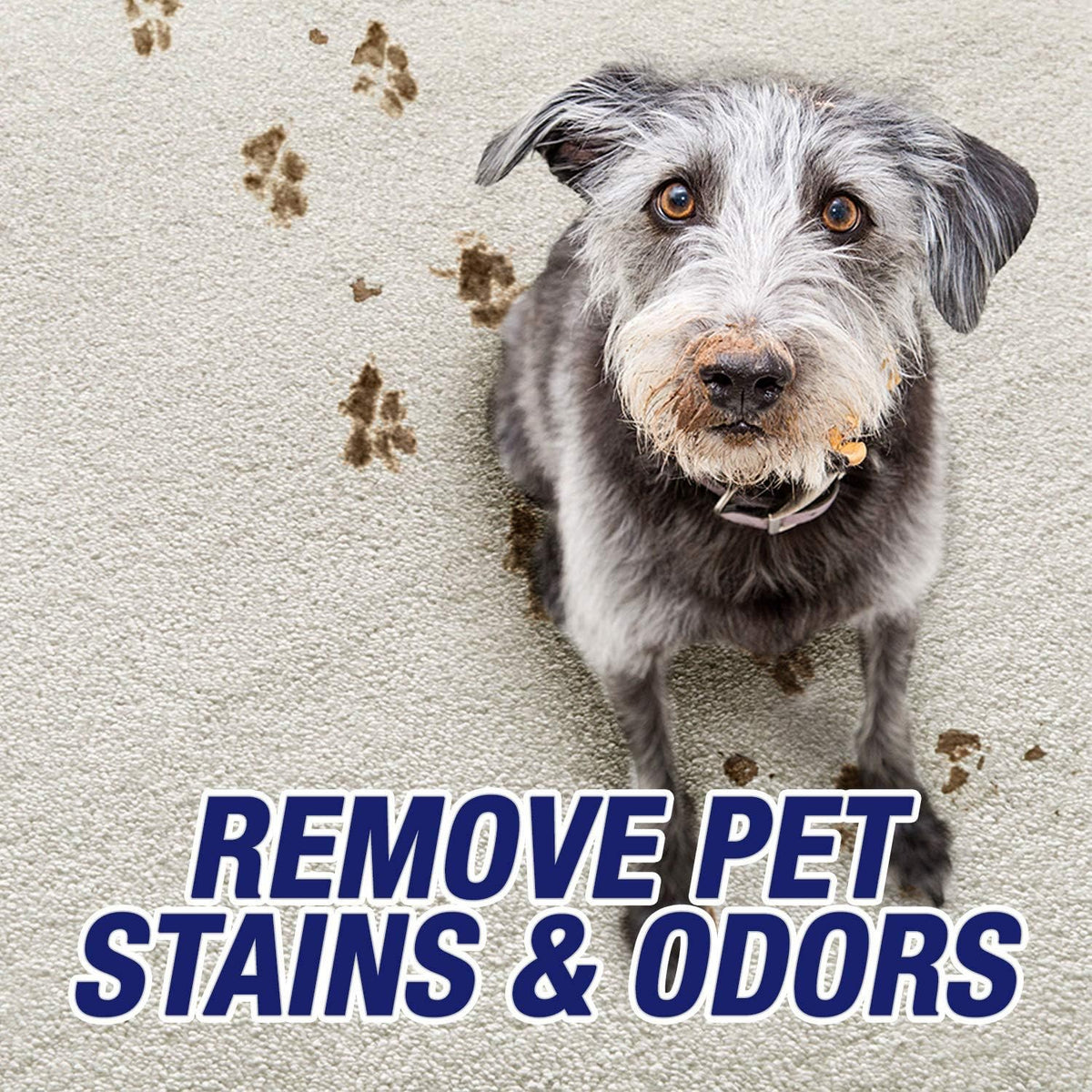 Ultra Pet Carpet Cleaner Spray, Pet Stain Remover, 32oz