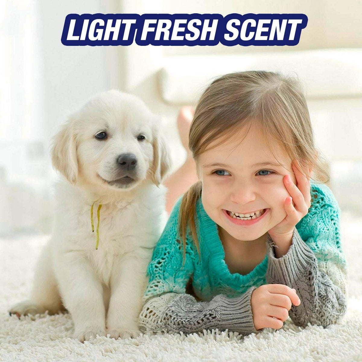 Ultra Pet Carpet Cleaner Spray, Pet Stain Remover, 32oz