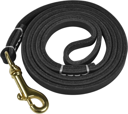 4 Feet / 5 Feet / 6 Feet Genuine Leather Small & Medium Dog Leash, Real Leather - (3/8" X 4', Black)