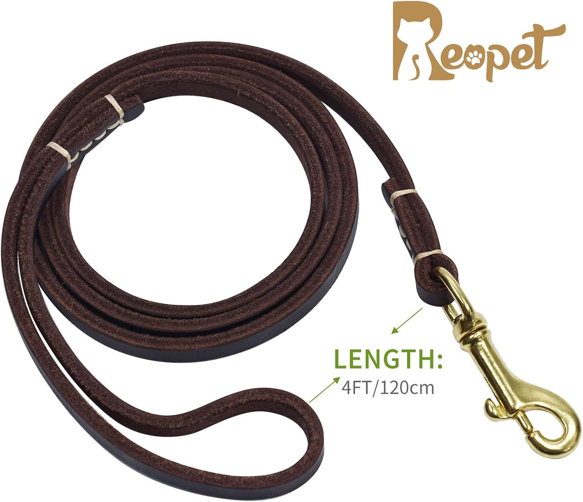4 Feet / 5 Feet / 6 Feet Genuine Leather Small & Medium Dog Leash, Real Leather - (3/8" X 4', Black)