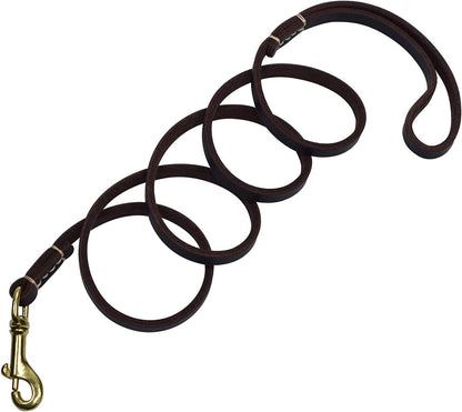 4 Feet / 5 Feet / 6 Feet Genuine Leather Small & Medium Dog Leash, Real Leather - (3/8" X 4', Black)