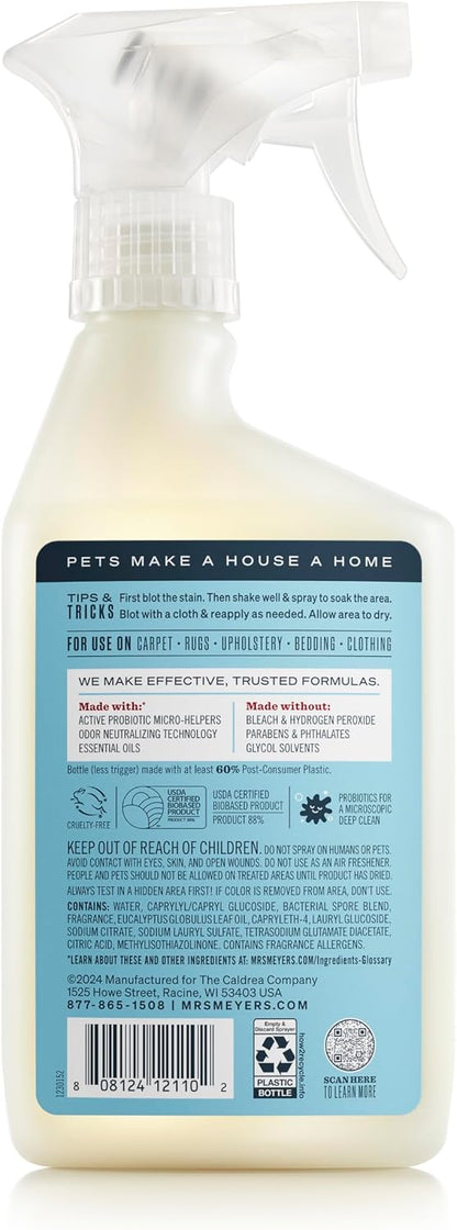 CLEAN DAY Pet Stain & Odor Fighter, Coconut Leaf Scent, 16oz