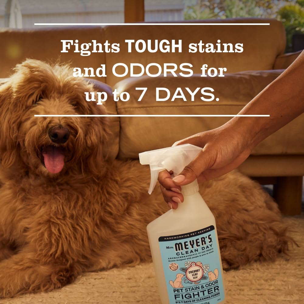 CLEAN DAY Pet Stain & Odor Fighter, Coconut Leaf Scent, 16oz