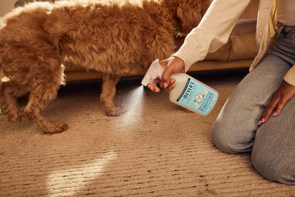 CLEAN DAY Pet Stain & Odor Fighter, Coconut Leaf Scent, 16oz