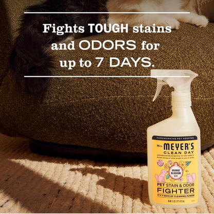 CLEAN DAY Pet Stain & Odor Fighter, Coconut Leaf Scent, 16oz