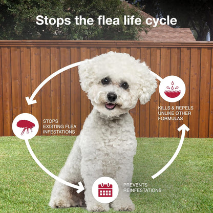 II Small Dog Vet-Recommended Flea, Tick & Mosquito Treatment & Prevention | Dogs 4-10 lbs. | 1-Mo Supply