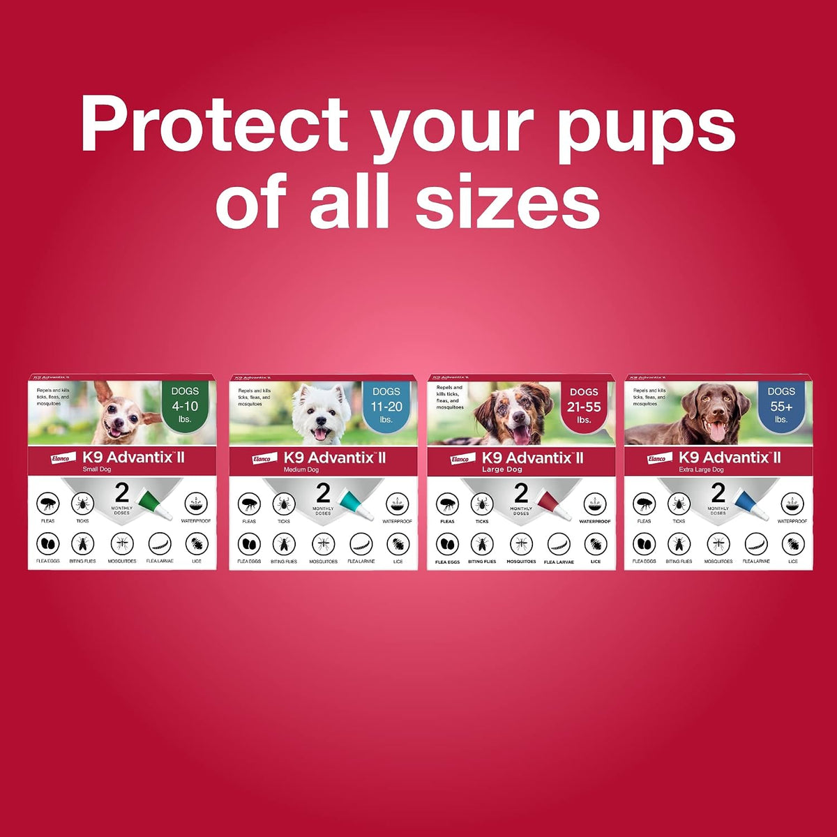 II Small Dog Vet-Recommended Flea, Tick & Mosquito Treatment & Prevention | Dogs 4-10 lbs. | 1-Mo Supply