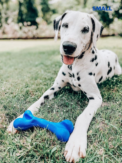 SuperChewer Tough Tug-of-War Flying Disc Toy | Lifetime Replacement | Strong Natural Rubber | Great Tug Disc Fetch Toy for Dogs | Ultra Durable Chew Toys for Aggressive Chewers | For All Breeds