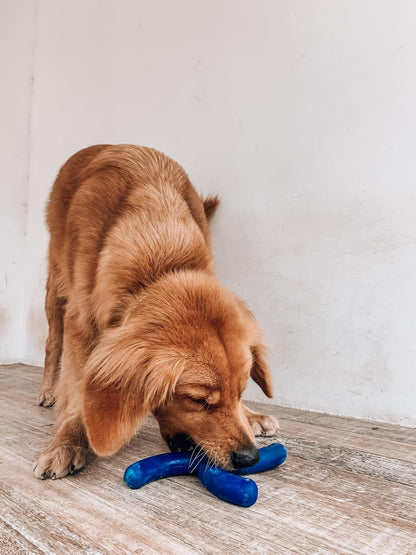 SuperChewer Tough Tug-of-War Flying Disc Toy | Lifetime Replacement | Strong Natural Rubber | Great Tug Disc Fetch Toy for Dogs | Ultra Durable Chew Toys for Aggressive Chewers | For All Breeds