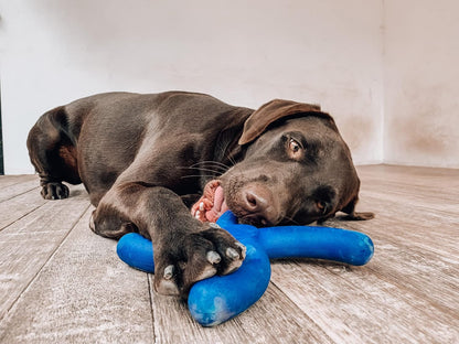 SuperChewer Tough Tug-of-War Flying Disc Toy | Lifetime Replacement | Strong Natural Rubber | Great Tug Disc Fetch Toy for Dogs | Ultra Durable Chew Toys for Aggressive Chewers | For All Breeds