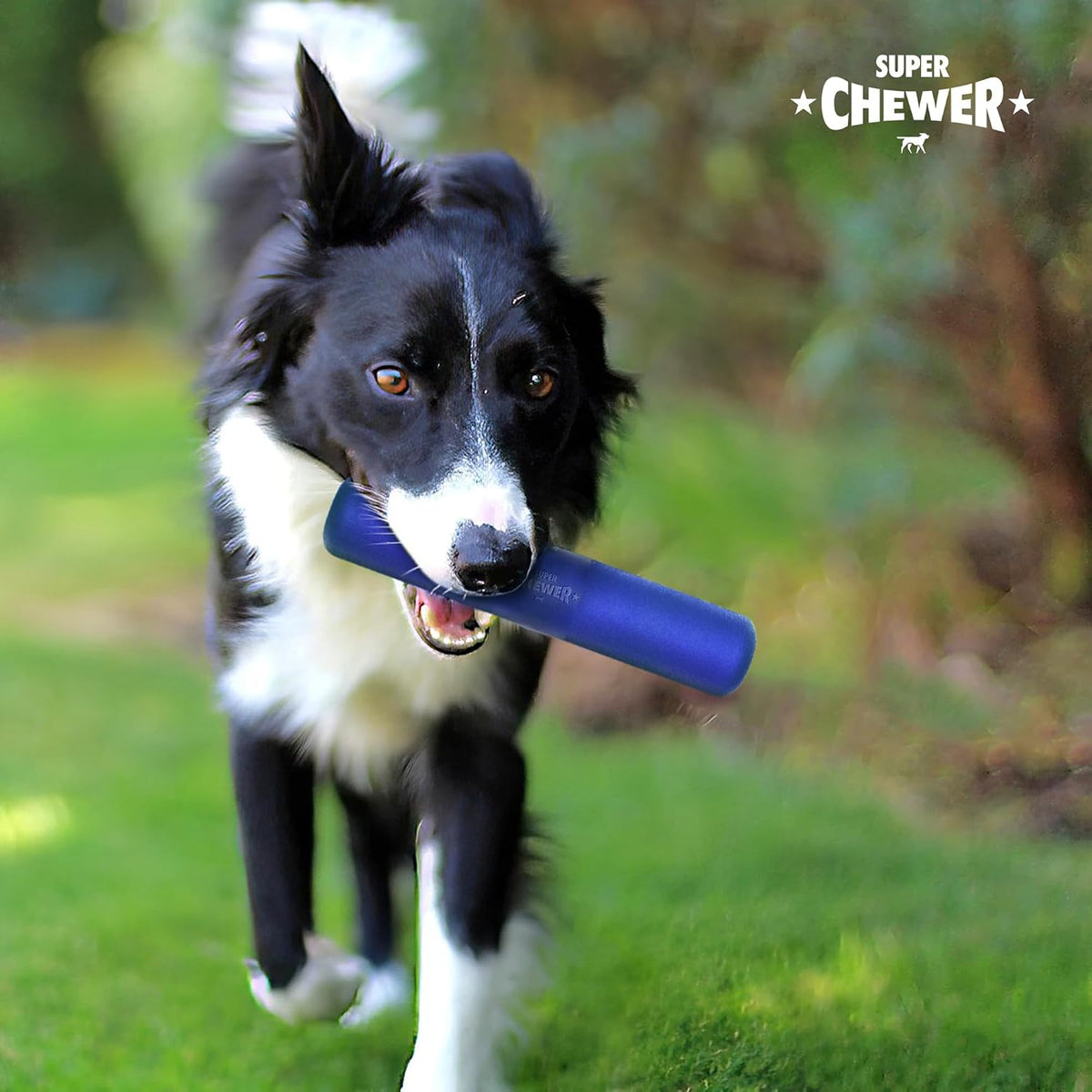 SuperChewer Tough Tug-of-War Flying Disc Toy | Lifetime Replacement | Strong Natural Rubber | Great Tug Disc Fetch Toy for Dogs | Ultra Durable Chew Toys for Aggressive Chewers | For All Breeds